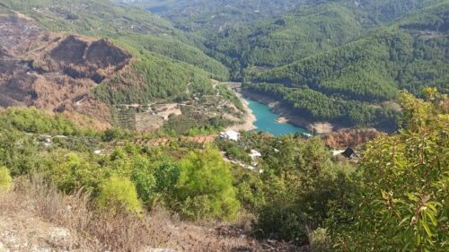 Недвижимость в Димчай с планировкой  