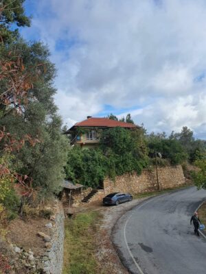 Купить дом в Турции с участком земли, Аланья (Махмутсейди), вторичка